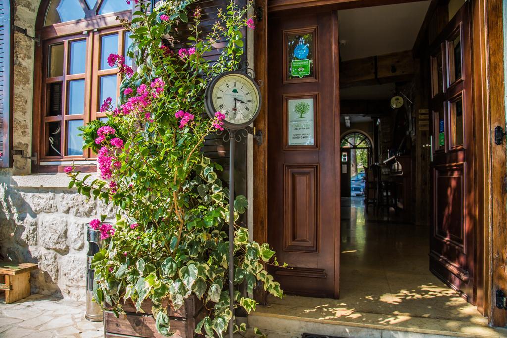 Hotel Carrubba Donja Lastva Exterior foto